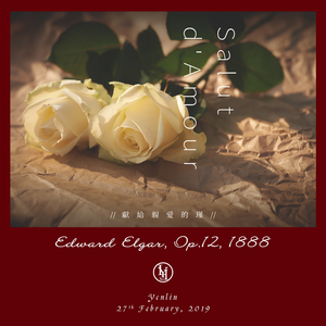 荒野乱斗破解版
