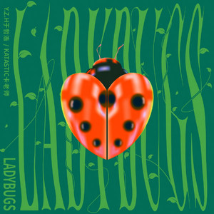 荒野乱斗破解版
