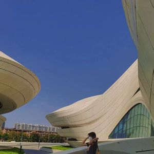 荒野乱斗破解版
