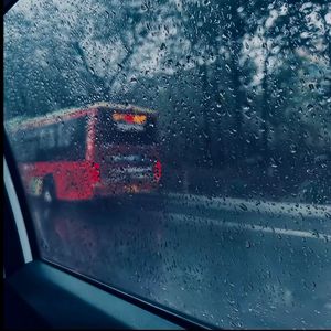 荒野乱斗破解版
